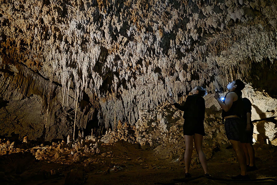 Hidden Cenotes Express