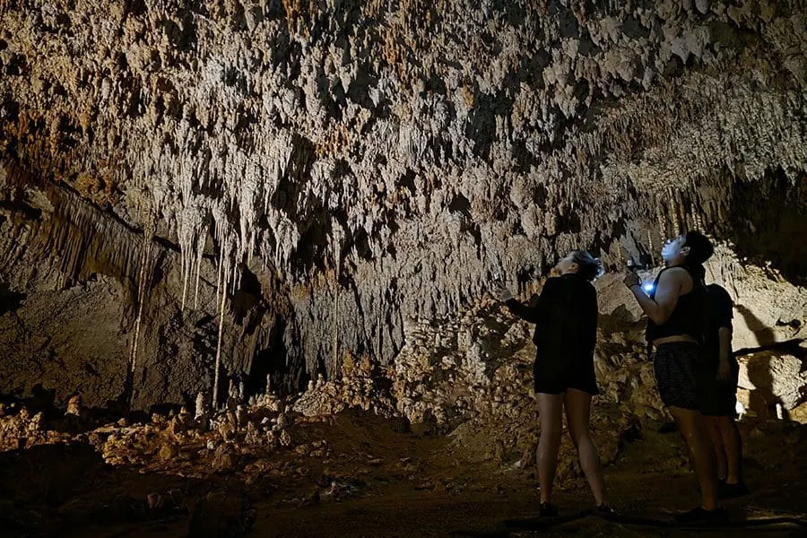 Sea Turtles & Cenote Experience