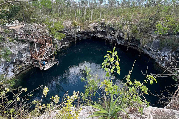 Open Cenote, Tacos & Playa Del Carmen Experience