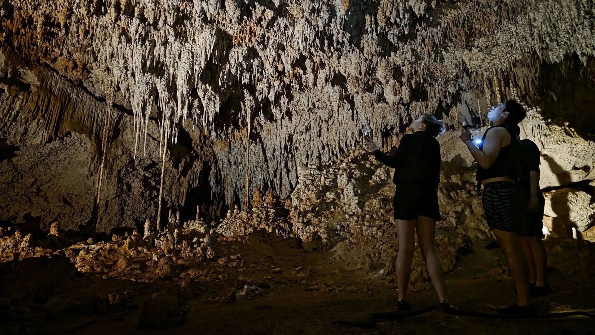 Coba & Cenote Experience photo 6