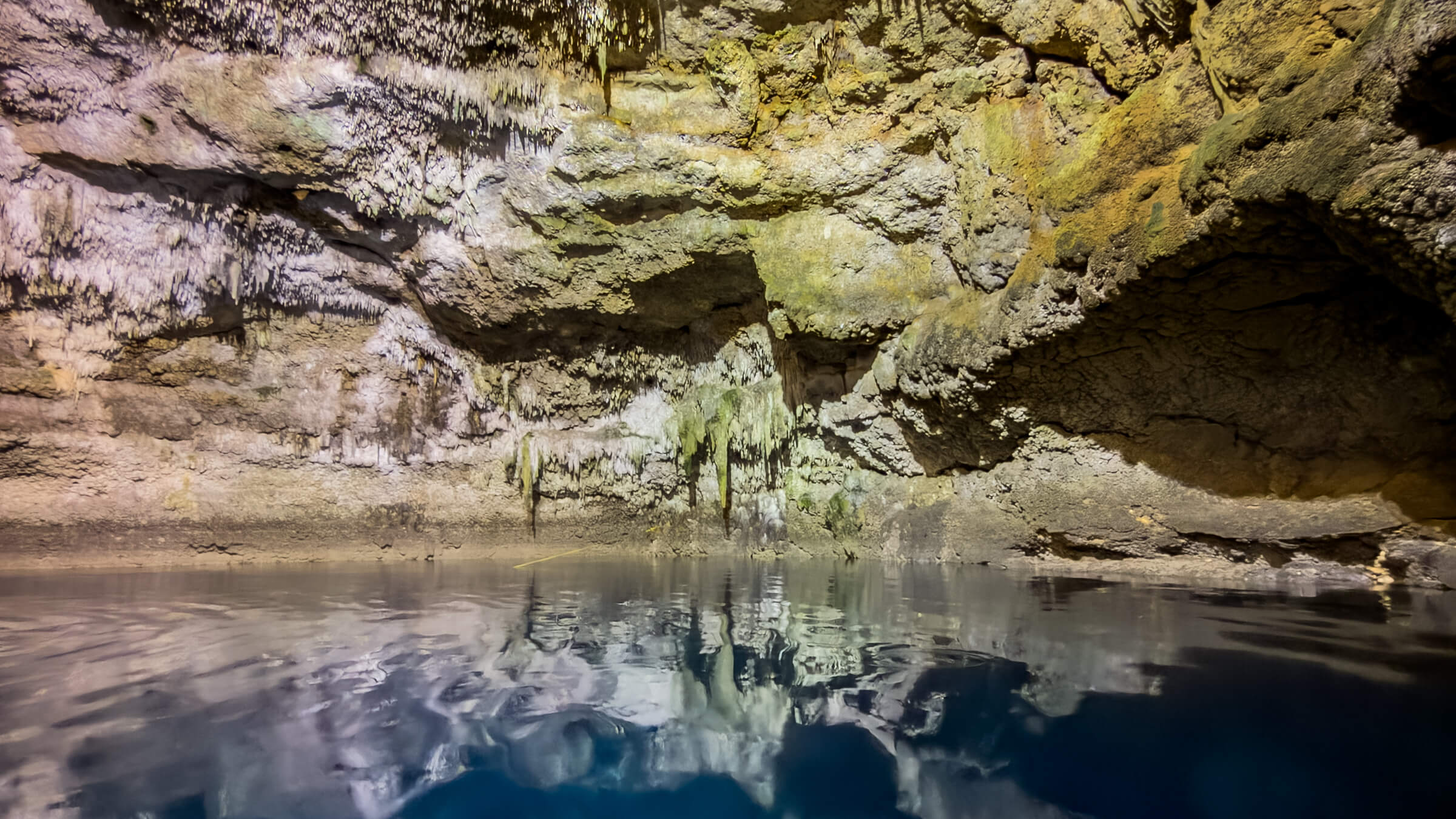 Coba & Cenote Experience photo 9