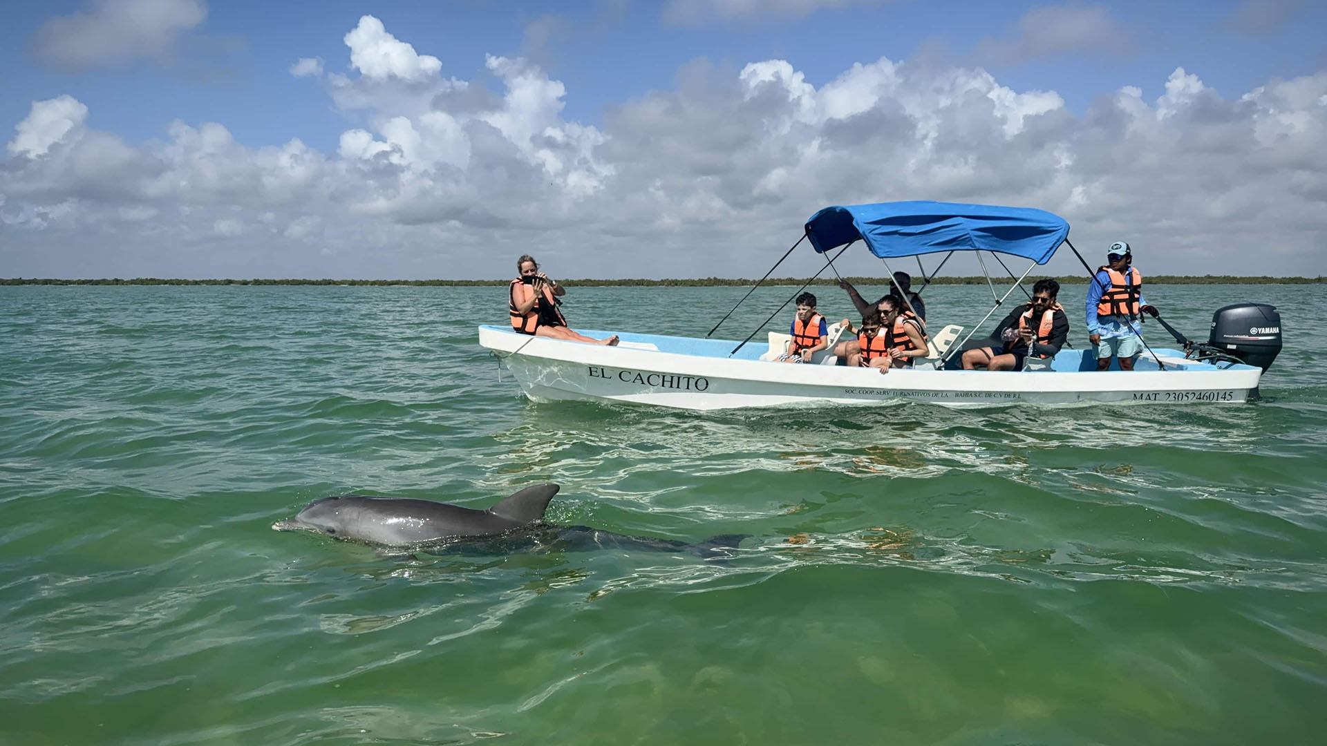 Dolphin Watching in Sian Ka'an photo 2