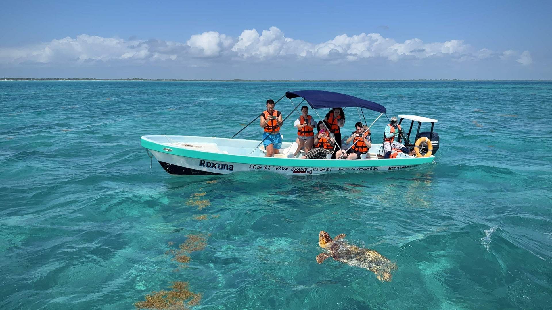 Dolphin Watching in Sian Ka'an photo 3