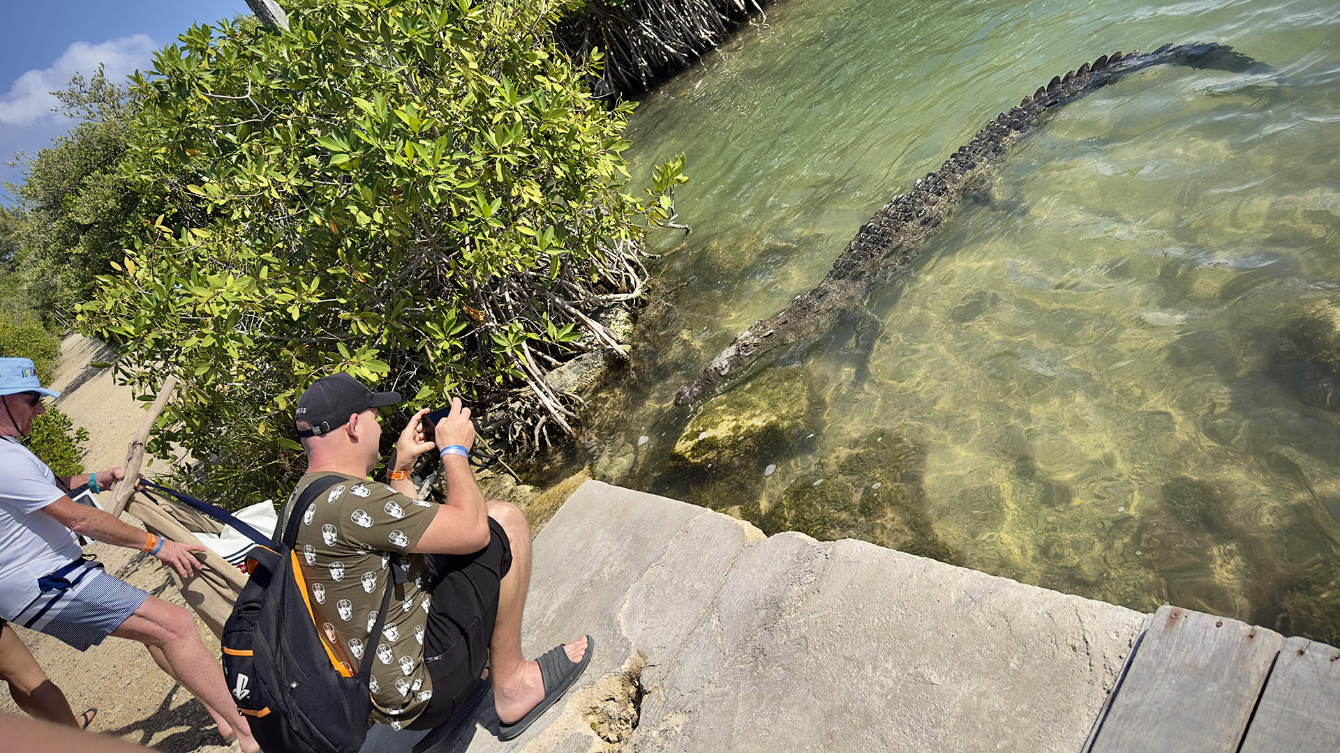 Dolphin Watching in Sian Ka'an photo 8