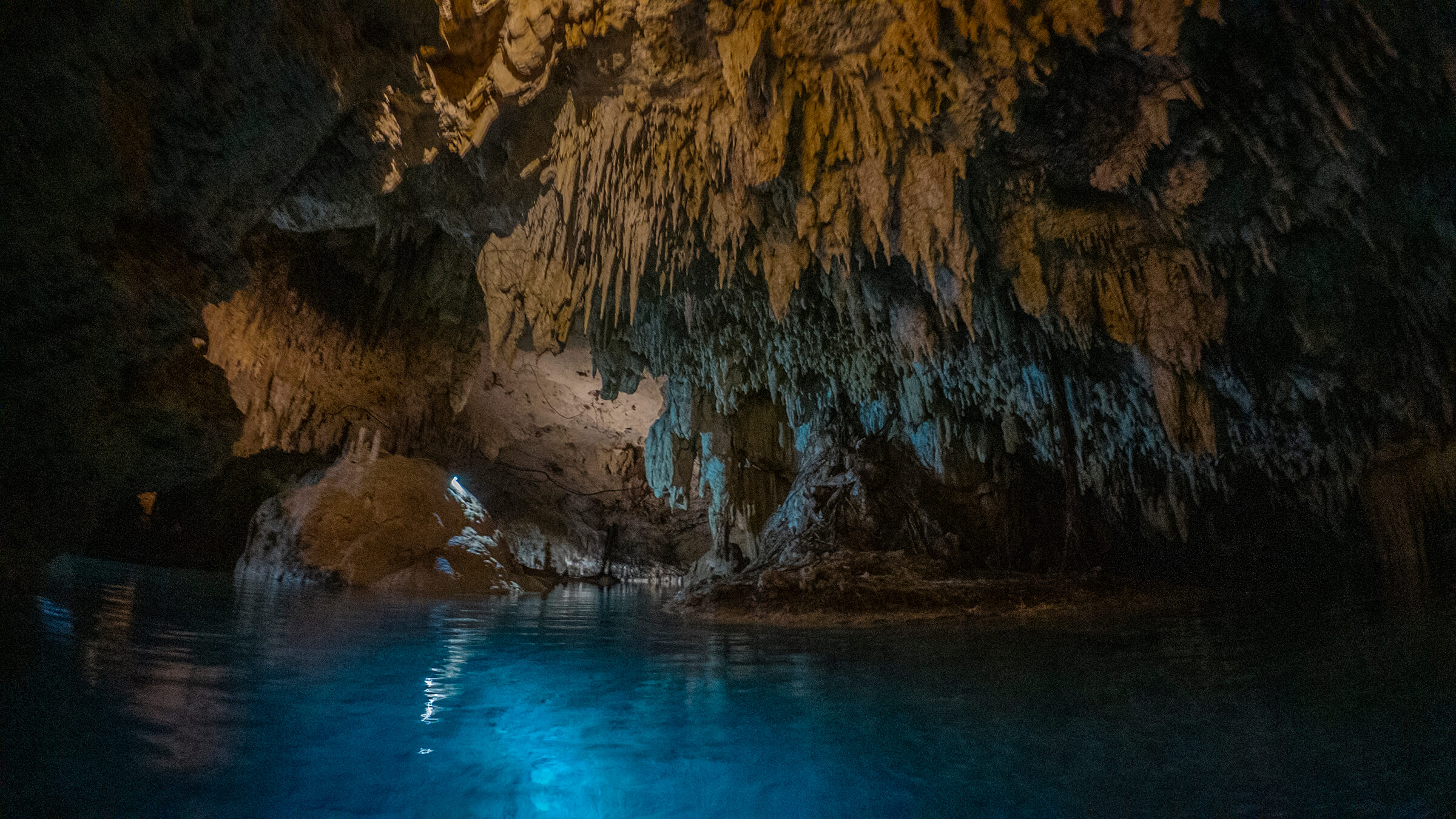 Hidden Cenote(s) Experience photo 4
