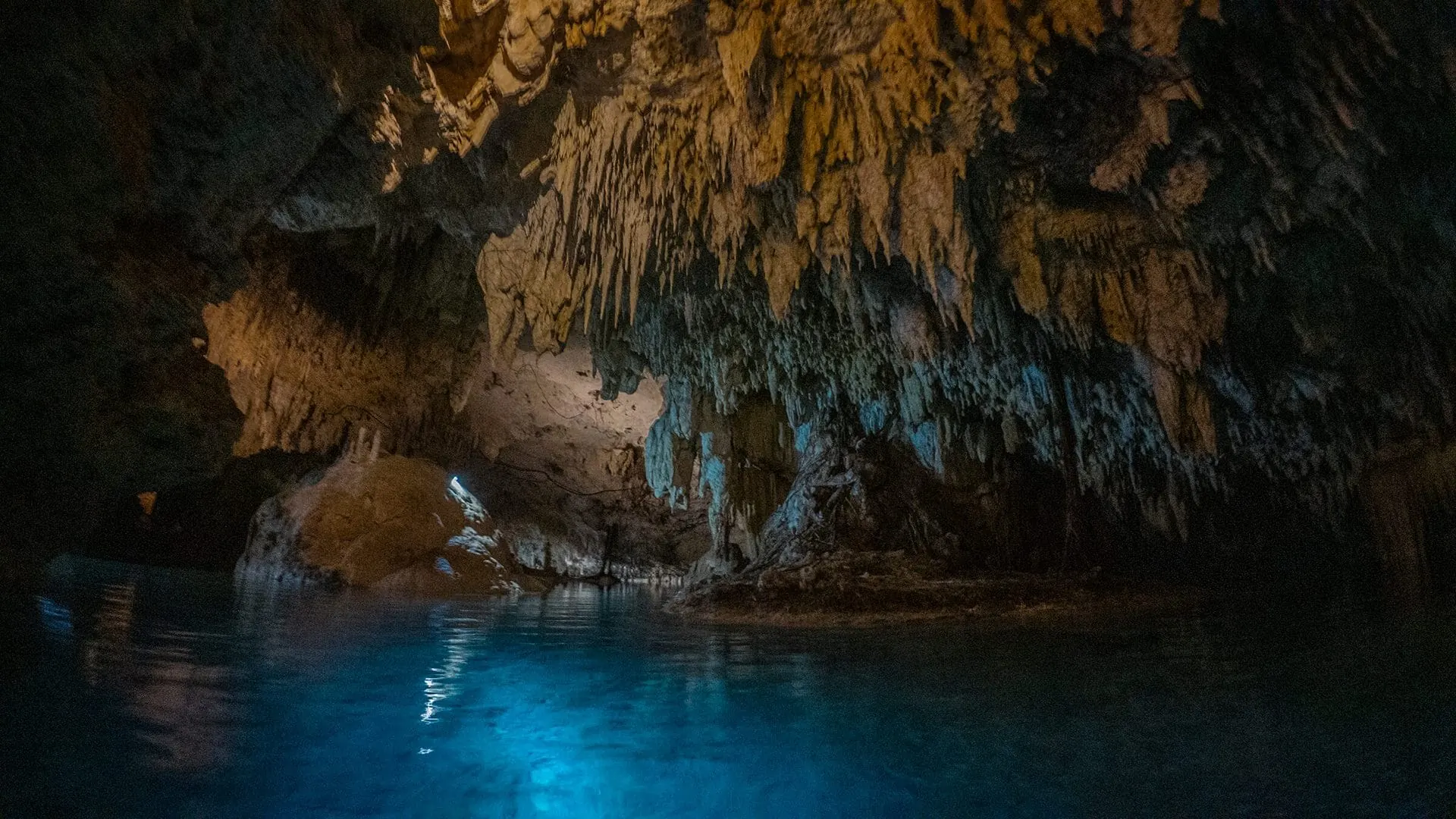 Hidden Cenote(s) Experience photo 4