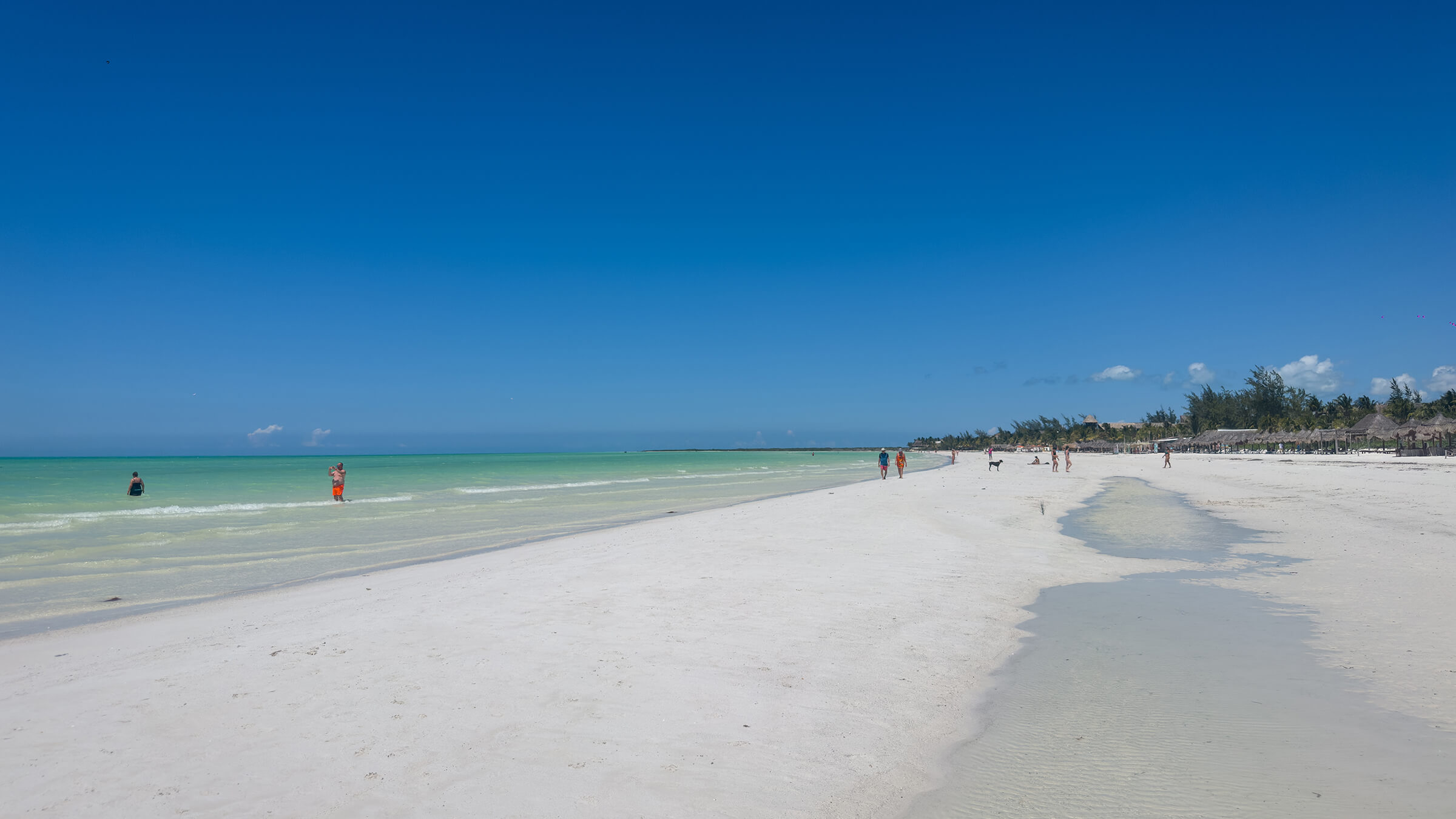 Holbox Experience photo 6