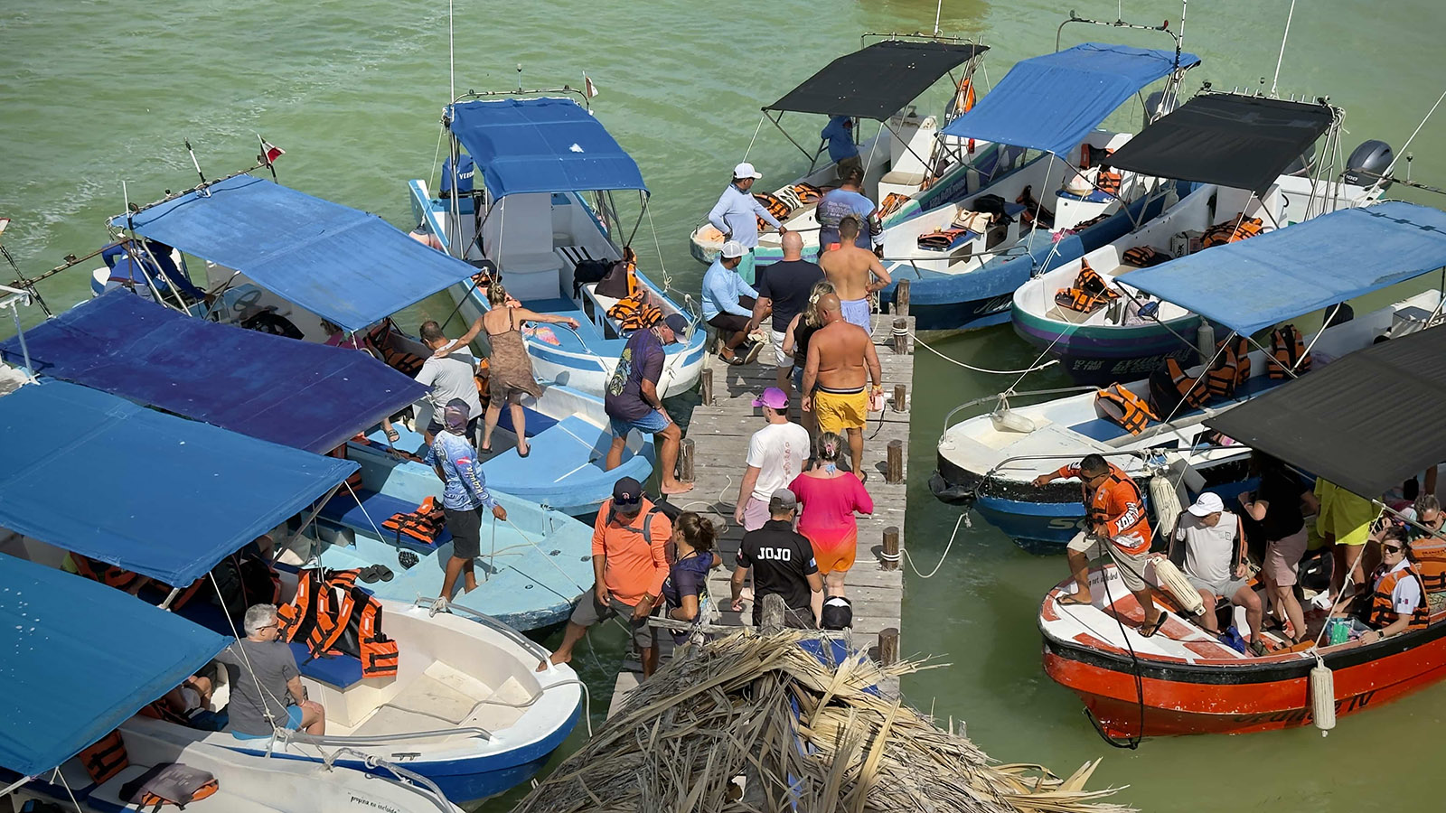 Holbox Experience photo 3