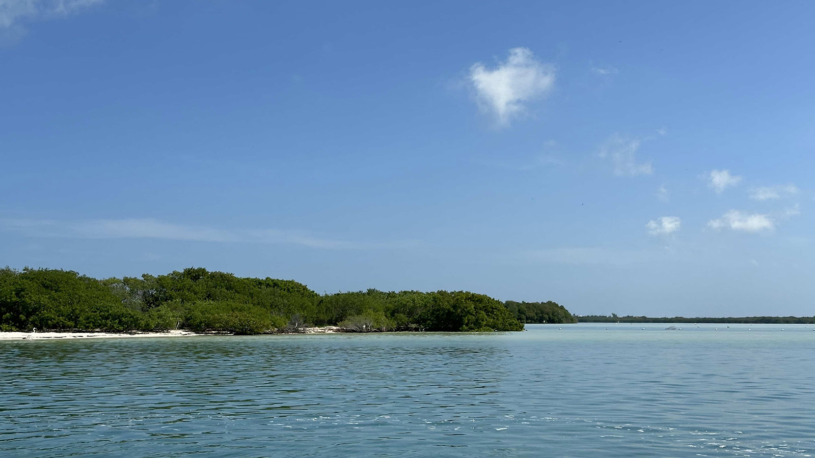 Holbox Experience photo 13