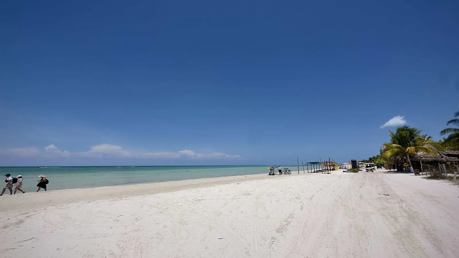Holbox Experience photo 10