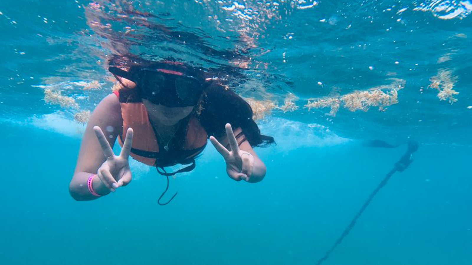 Sea Turtle and Cenote Snorkeling Experience photo 20