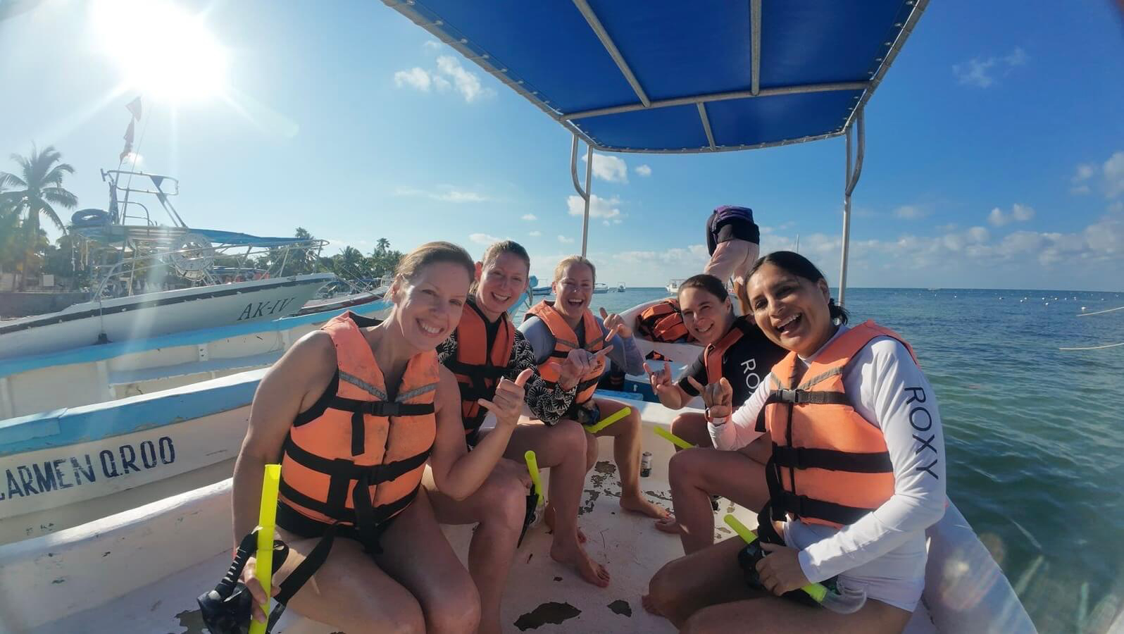 Sea Turtles & Cenote Experience photo 1