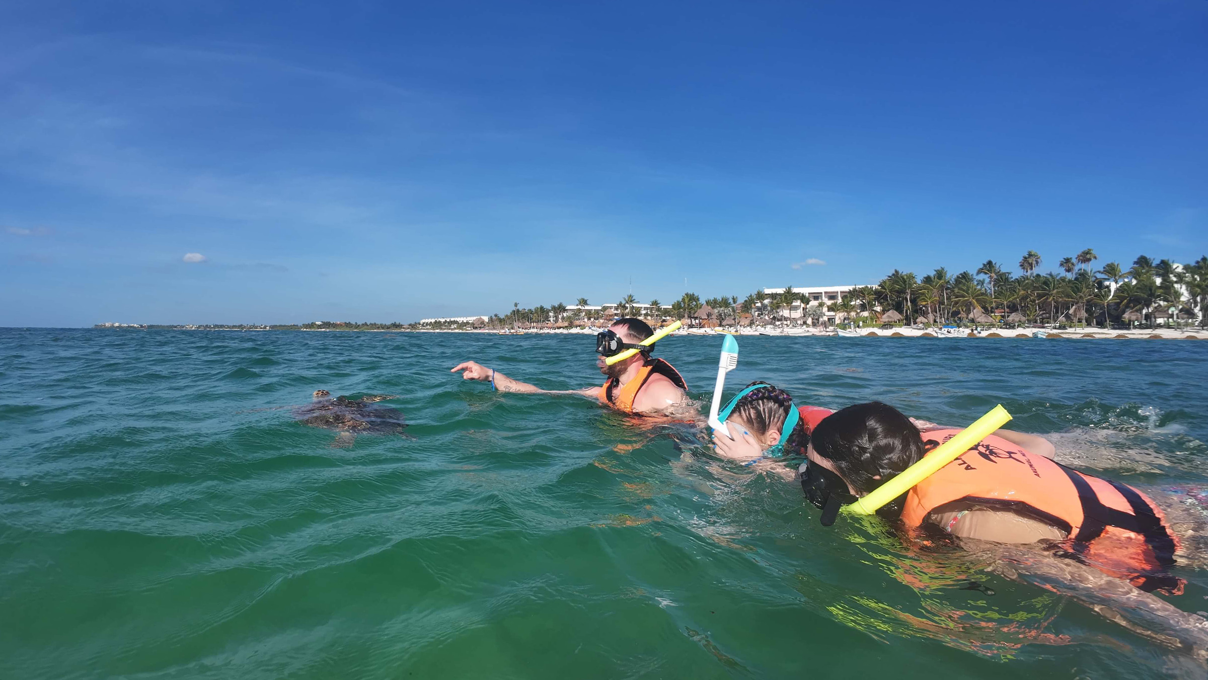 Sea Turtles & Cenote Experience photo 2