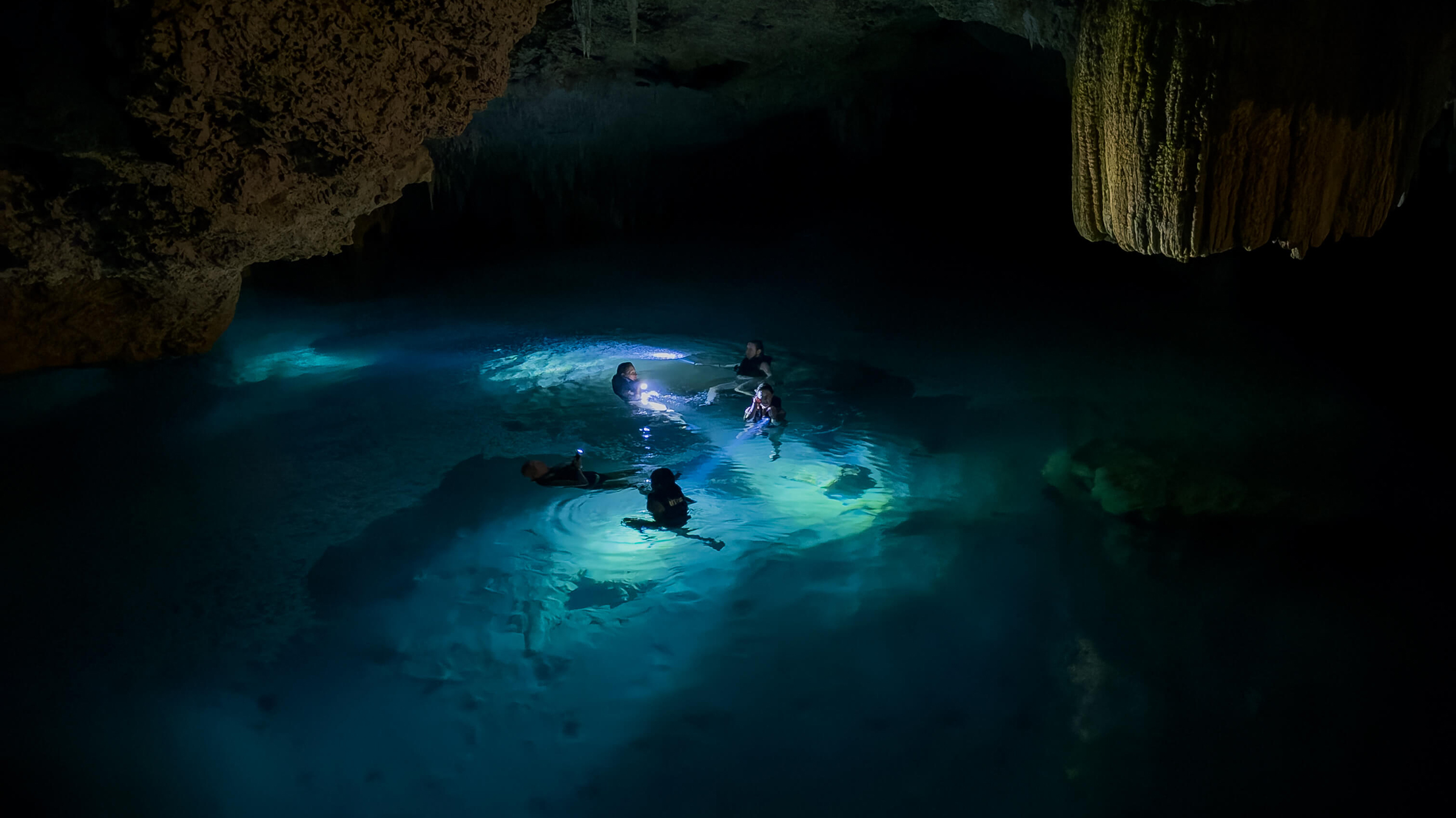 Sea Turtles & Cenote Experience photo 6