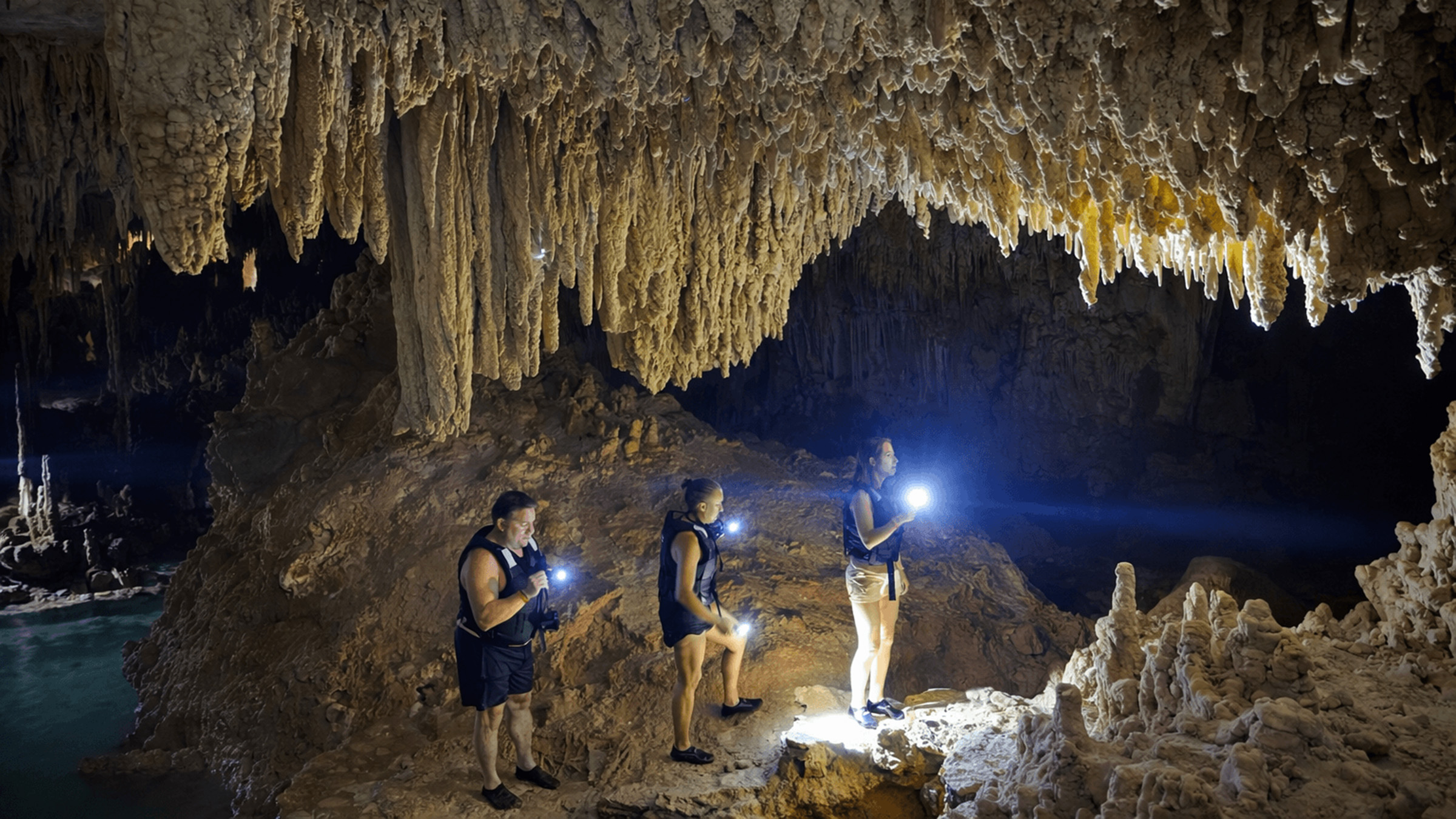Sea Turtles & Cenote Experience photo 7
