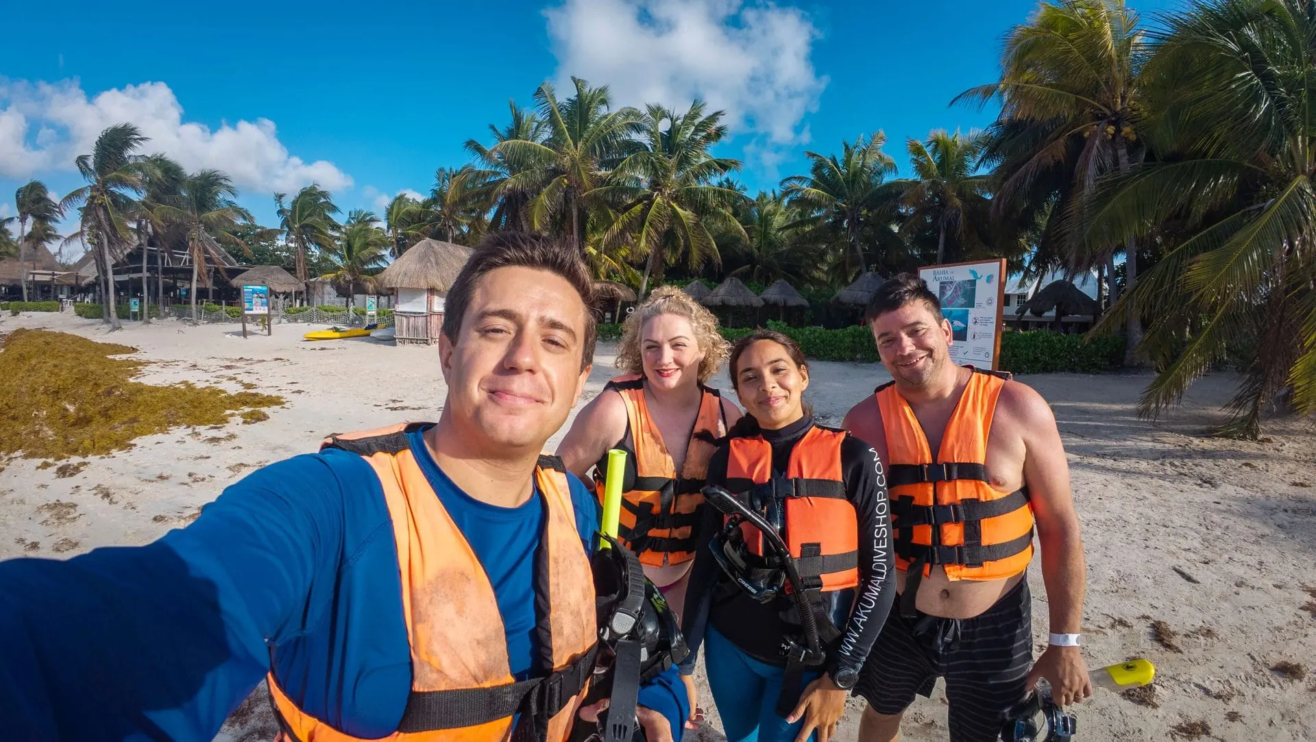 Sea Turtles & Cenote Experience photo 8