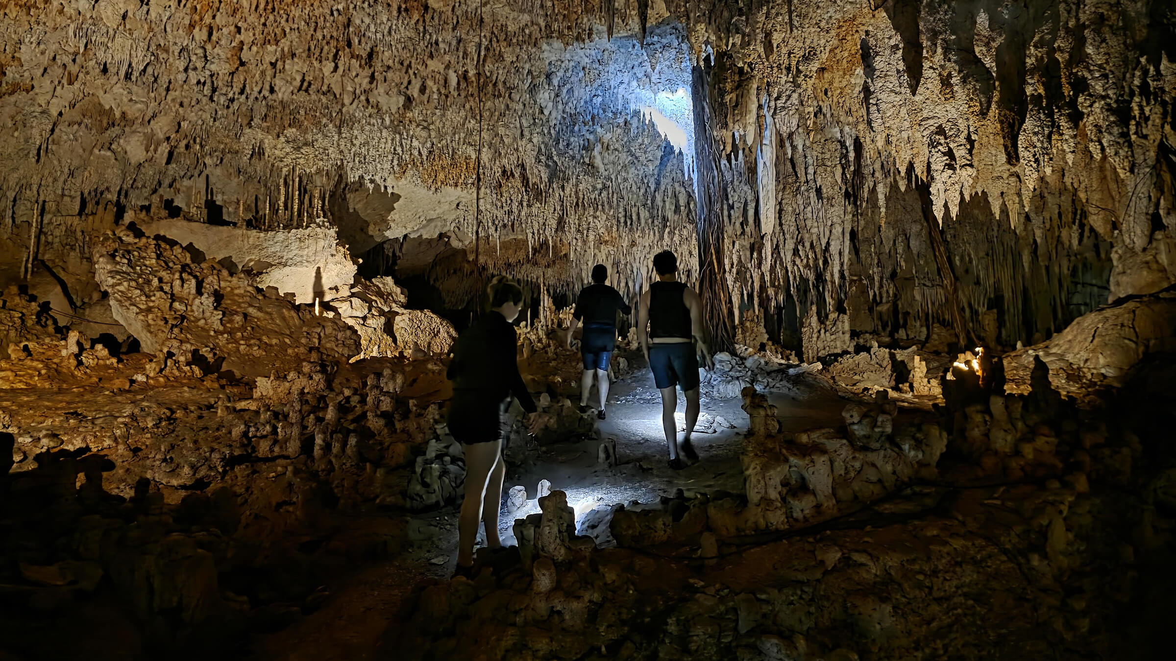 Tulum & Cenote Experience photo 7