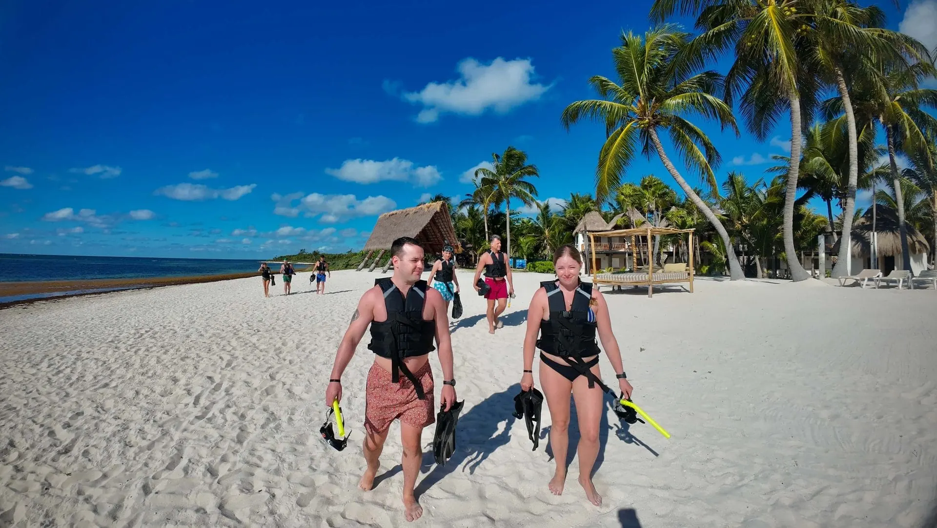 Tulum, Sea Turtles & Cenote Experience photo 1
