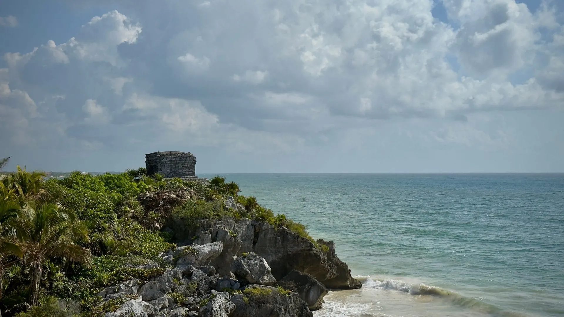 Tulum, Sea Turtles & Cenote Experience photo 8