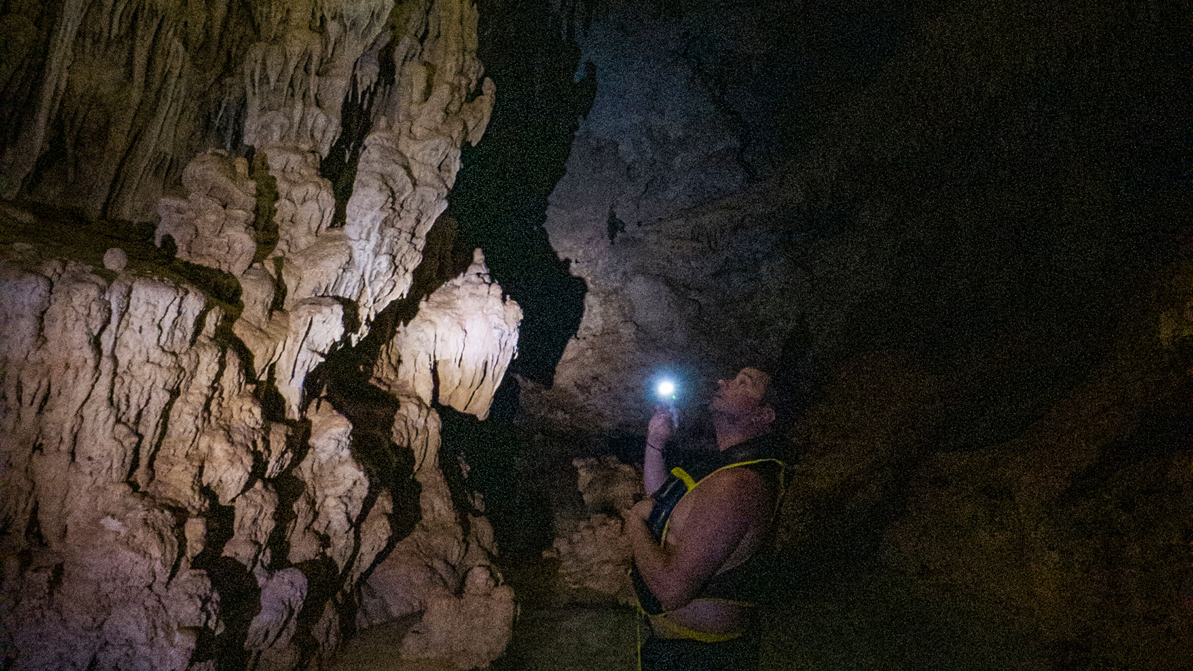 Tulum, Sea Turtles & Cenote Experience photo 10