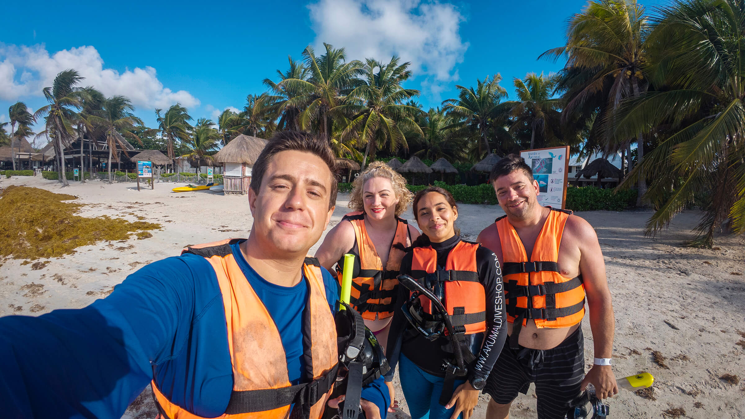 Tulum, Sea Turtles & Cenote Experience photo 5