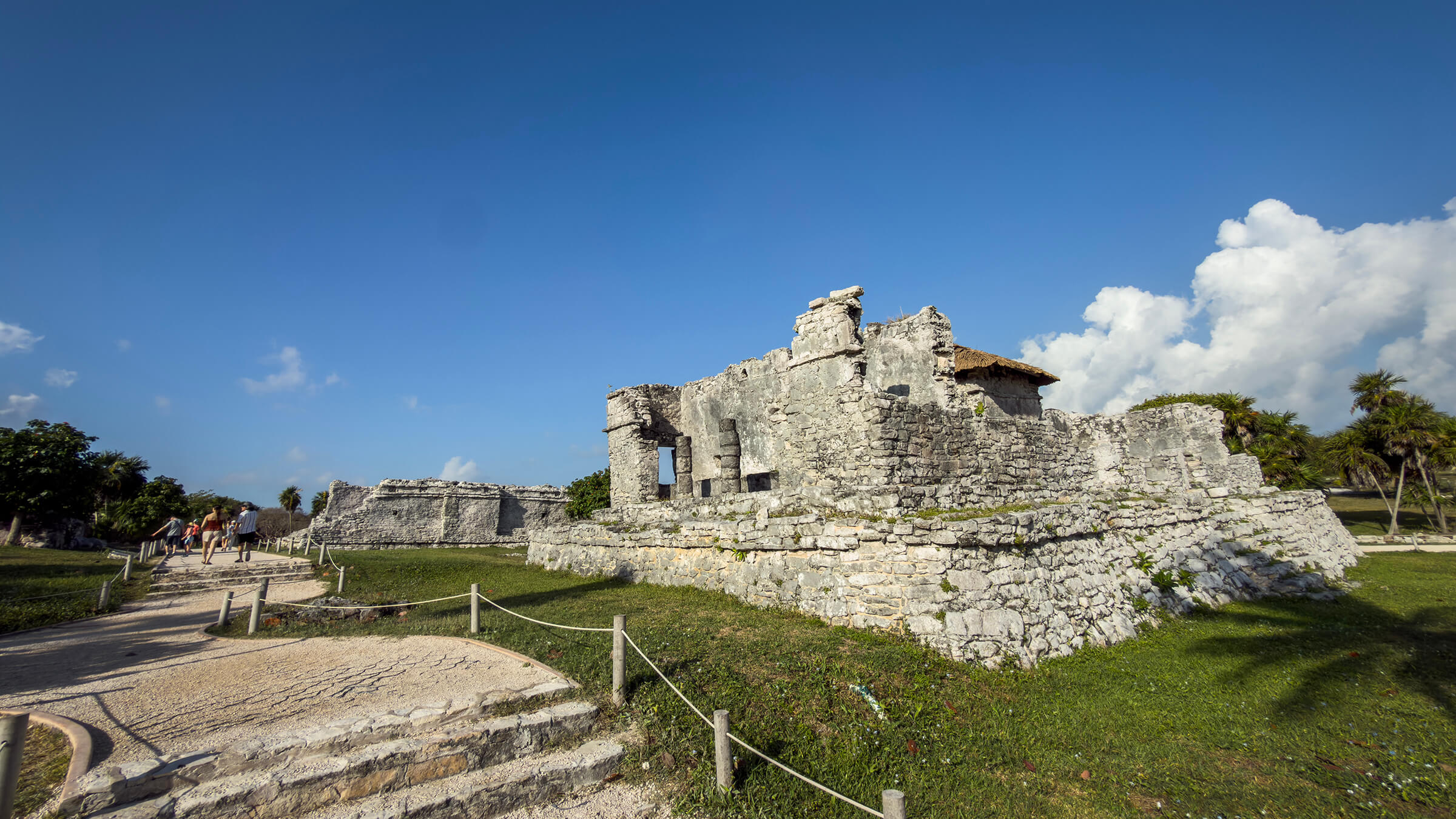 Tulum, Sea Turtles & Cenote Experience photo 6