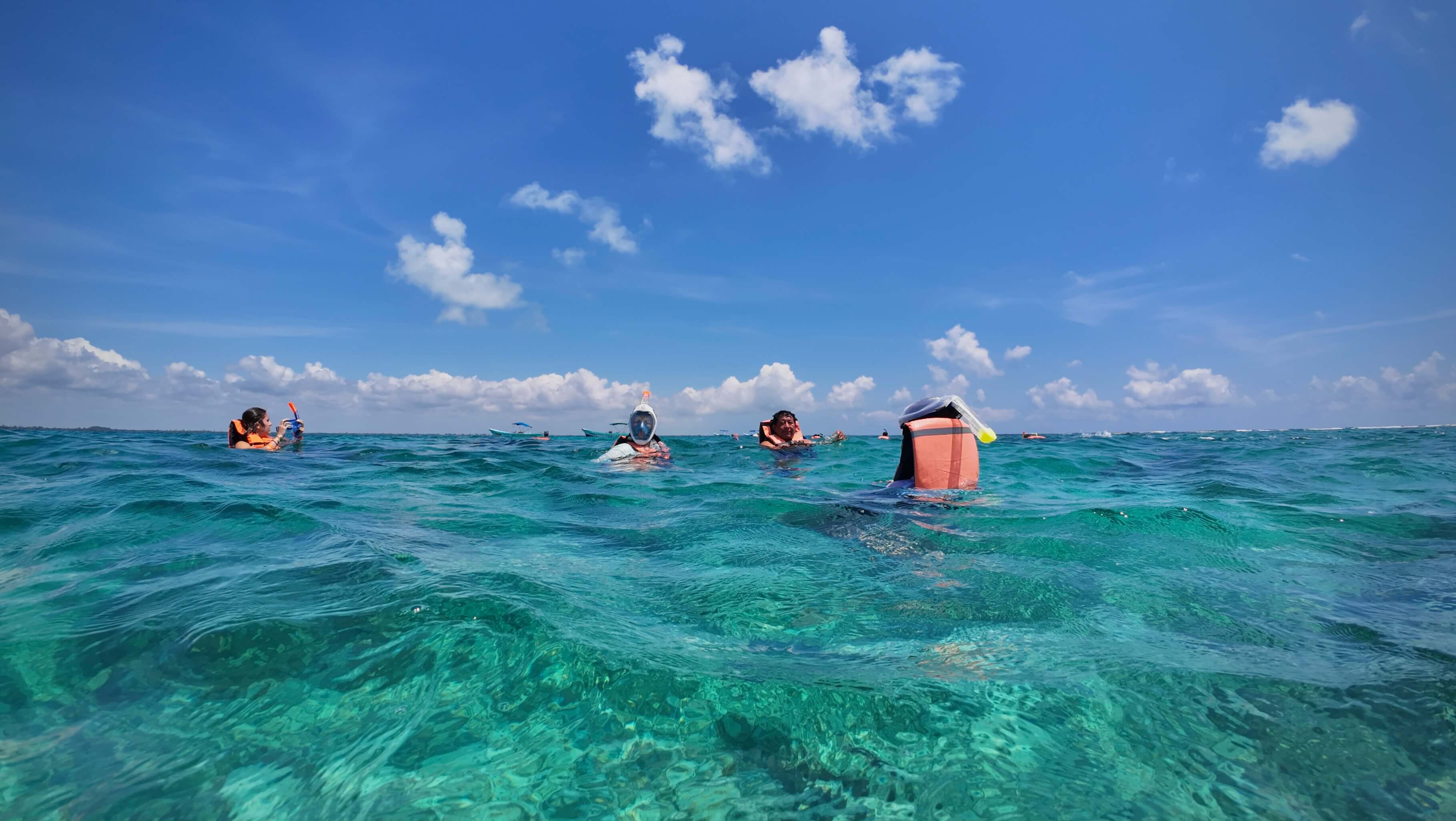 Tulum, Sea Turtles & Cenote Experience photo 7