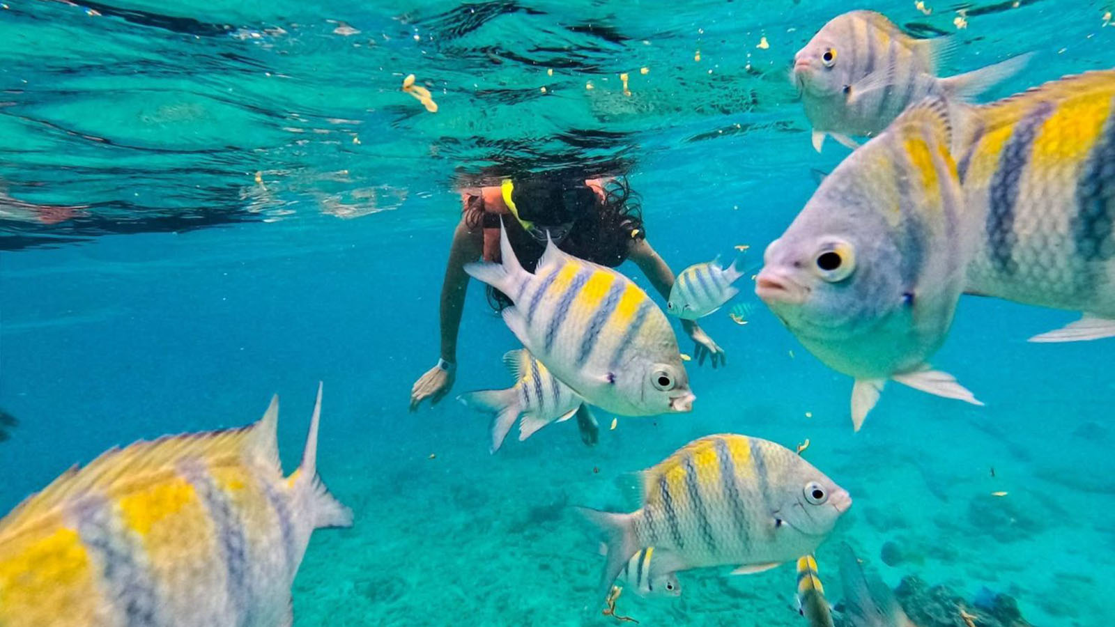 Tulum Snorkeling Experience photo 29