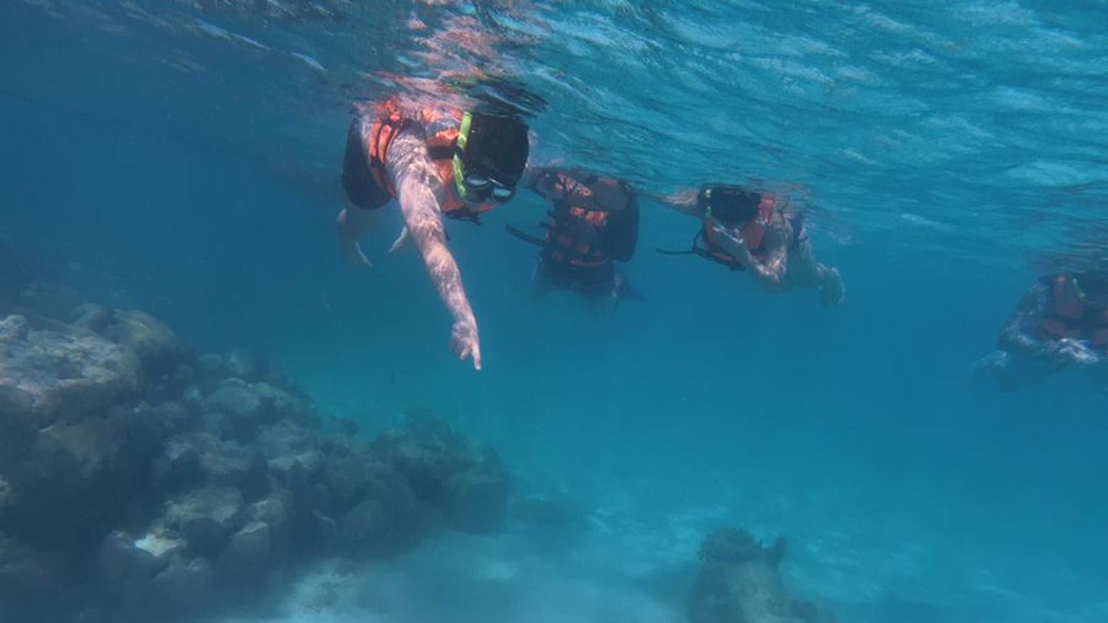 Tulum Snorkeling Experience photo 39