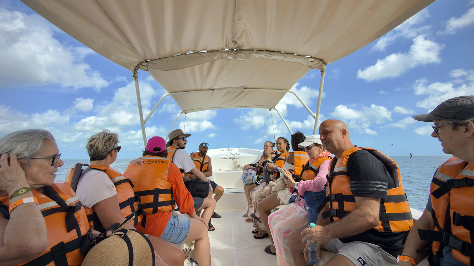 Holbox Day Adventure (Shared experience) photo 2