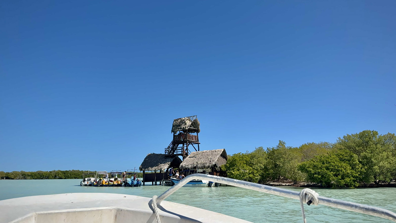 Holbox Day Adventure (Shared experience) photo 7