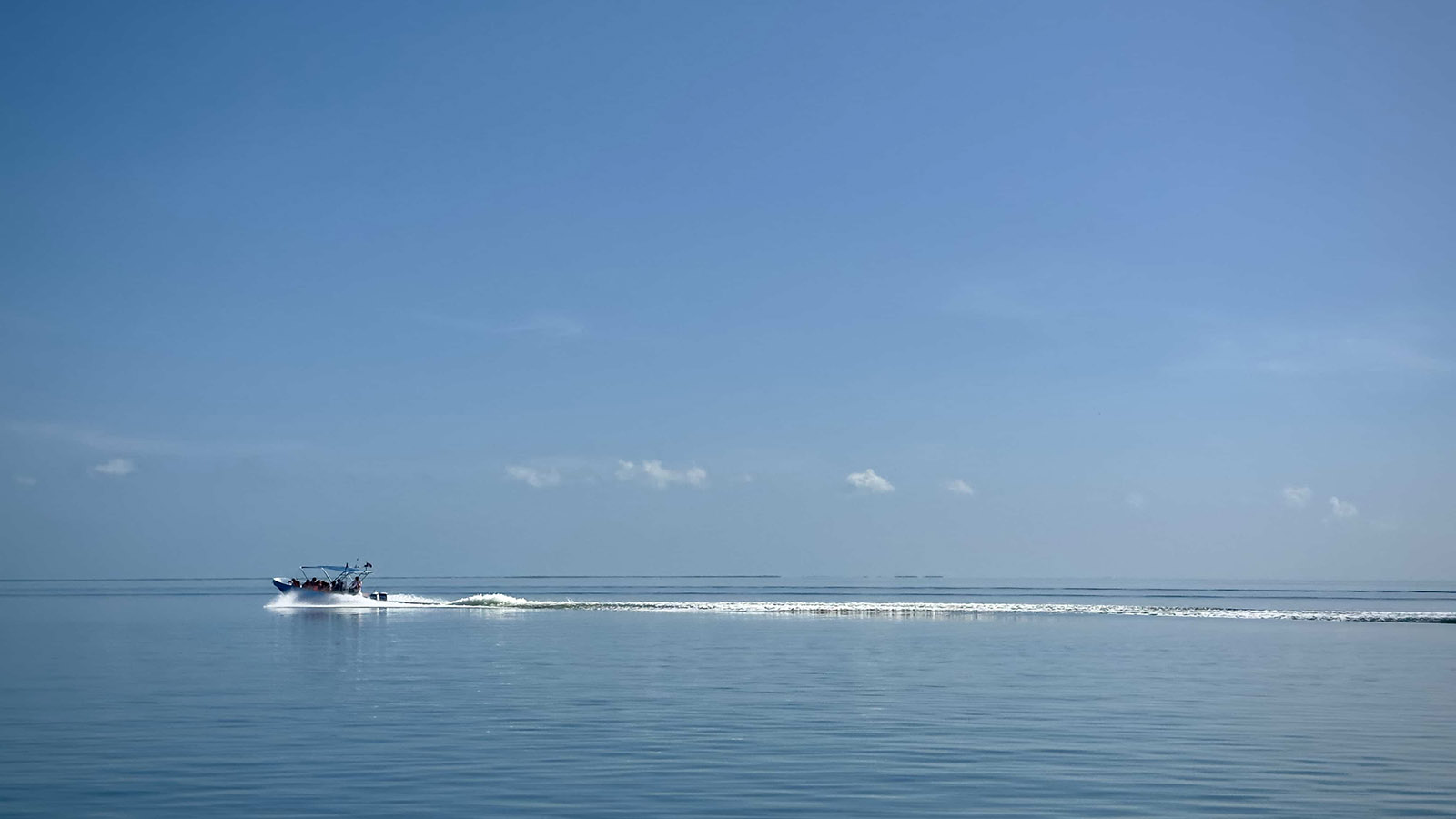 Holbox Day Adventure (Shared experience) photo 11