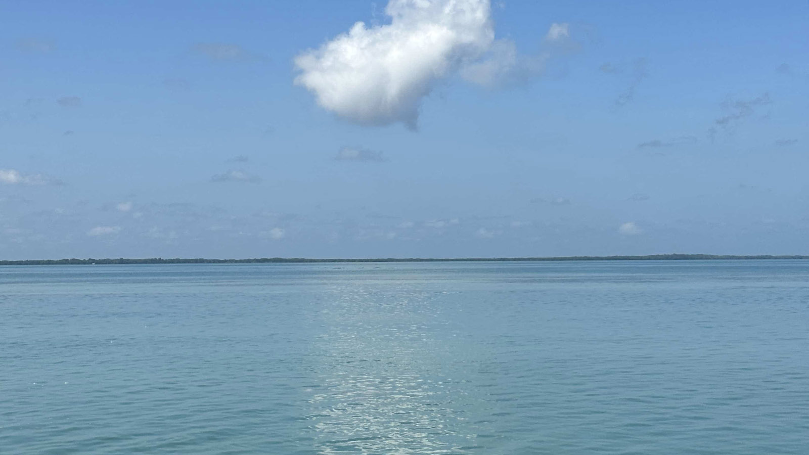 Holbox Day Adventure (Shared experience) photo 14