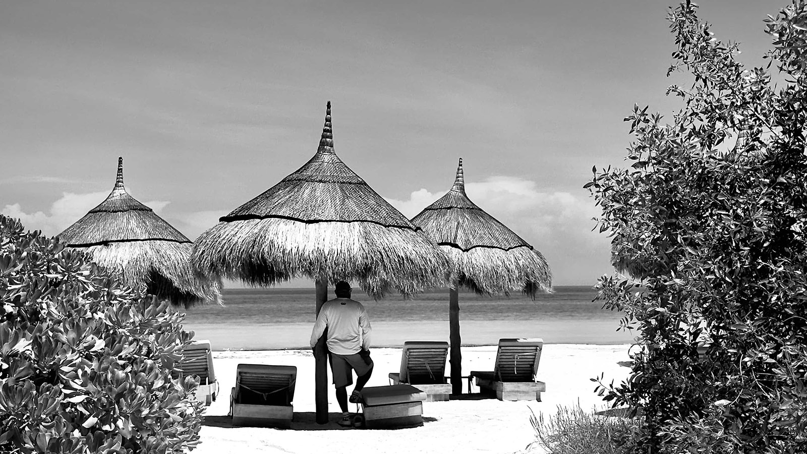 Holbox Day Adventure (Shared experience) photo 16