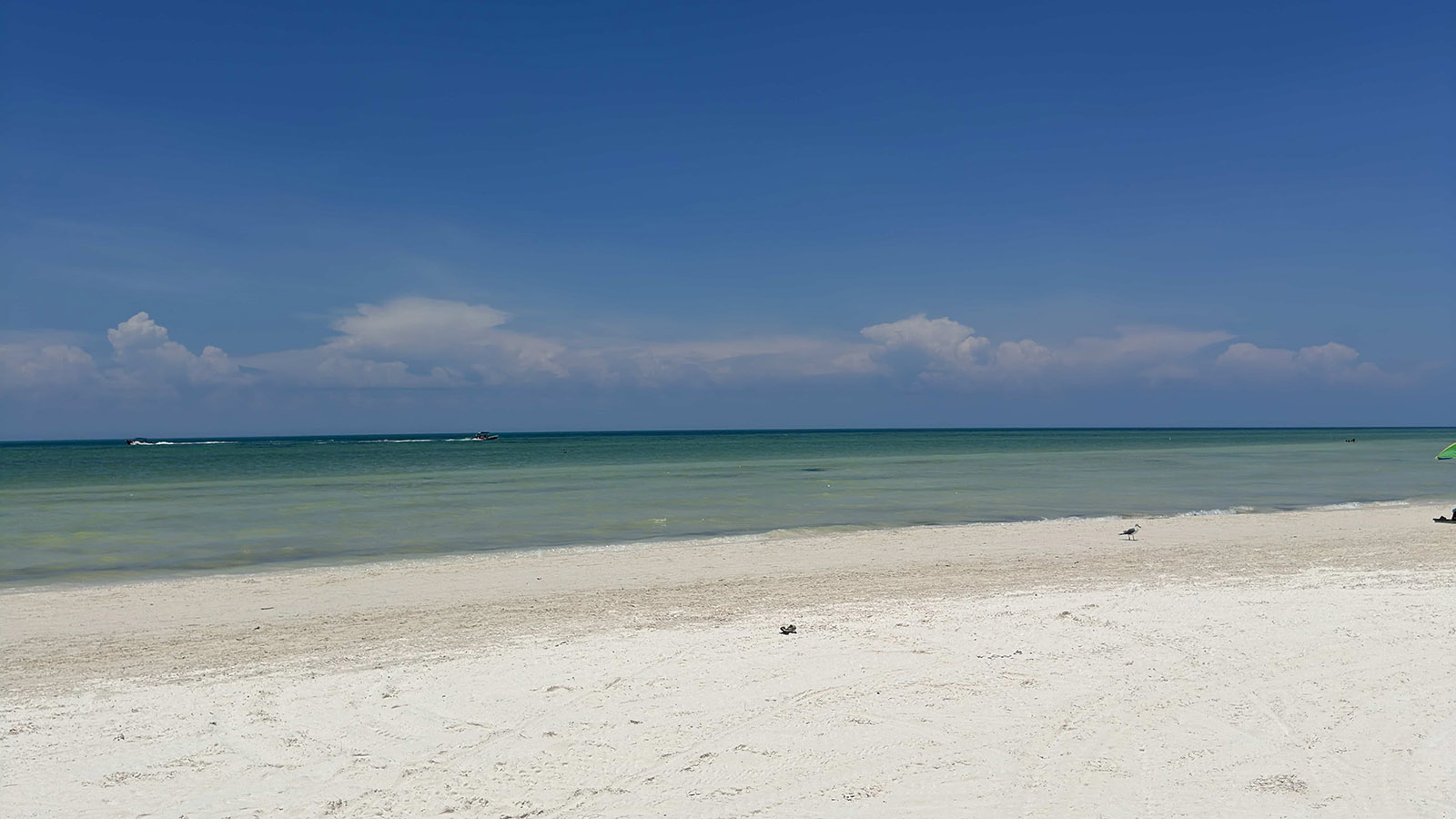 Holbox Day Adventure (Shared experience) photo 17