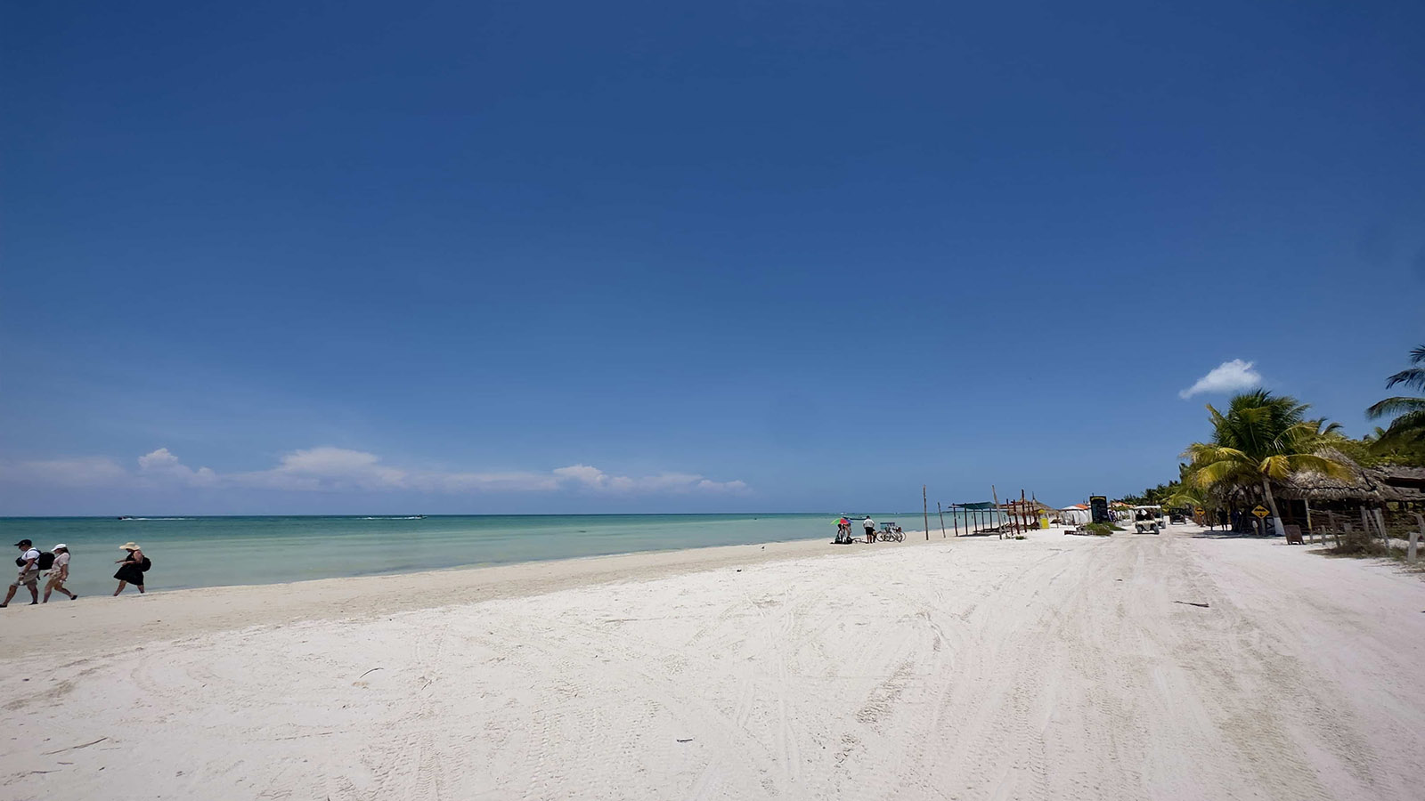 Holbox Day Adventure (Shared experience) photo 18