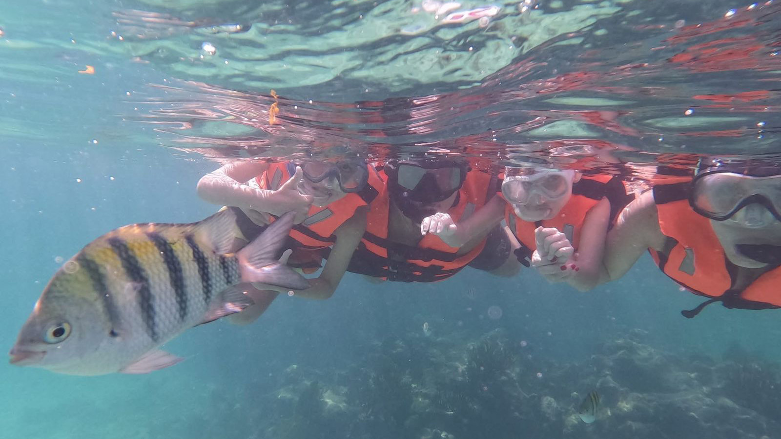 Snorkeling with Turtles and Cenote Adventure (Shared experience) photo 1