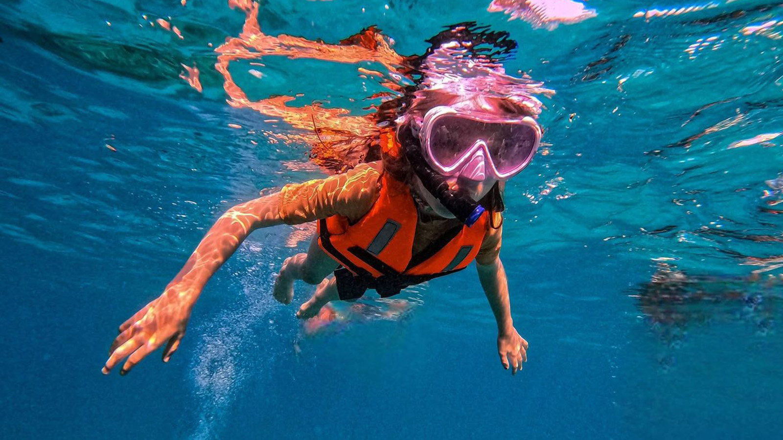 Snorkeling with Turtles and Cenote Adventure (Shared experience) photo 10