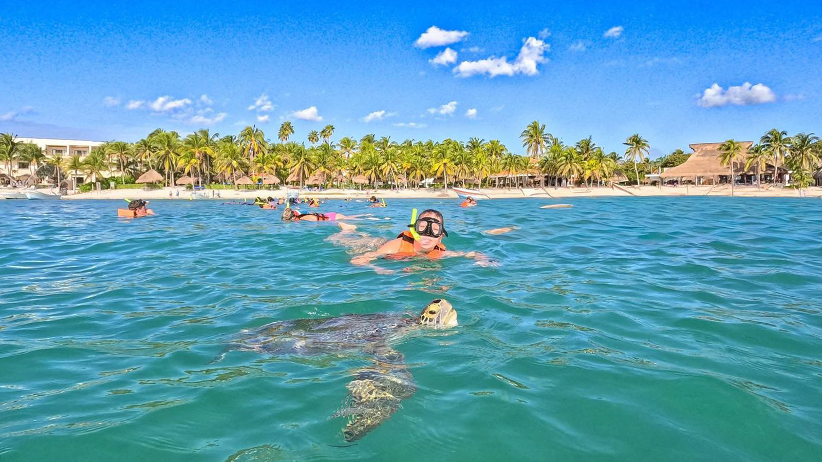 Snorkeling with Turtles and Cenote Adventure (Shared experience) photo 11