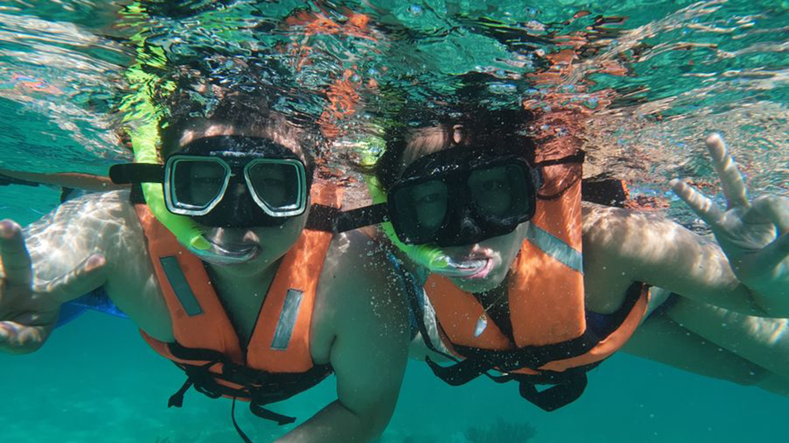 Snorkeling with Turtles and Cenote Adventure (Shared experience) photo 13